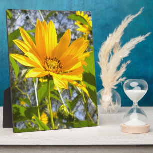 Golden Sunflower Plaque