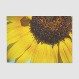 Golden Sunflower  Tissue Paper