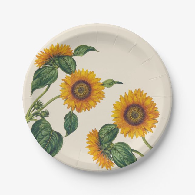 Golden Sunflowers Botanical Paper Plate 7" (Front)