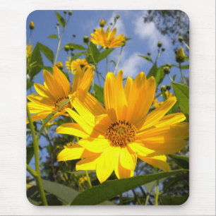 Golden Sunflowers mouse pad