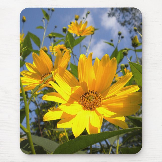 Golden Sunflowers mouse pad (Front)