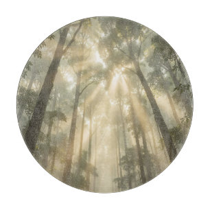 Golden Sunlight Beams Through Misty Tall Trees  Cutting Board