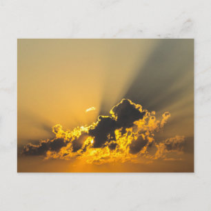Golden Sunset Illuminating a Cloud Postcard