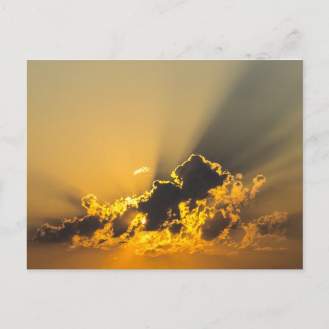 Golden Sunset Illuminating a Cloud Postcard (Front)