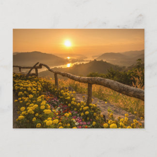 Golden Sunset Over Blooming Hills  Postcard