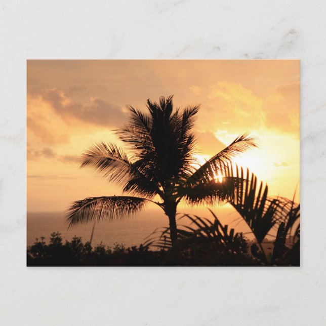 Golden Sunset Tropical Postcard (Front)