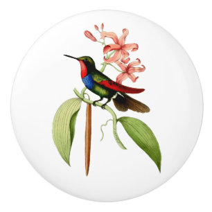 Golden Tailed Sapphire Hummingbird Ceramic Knob
