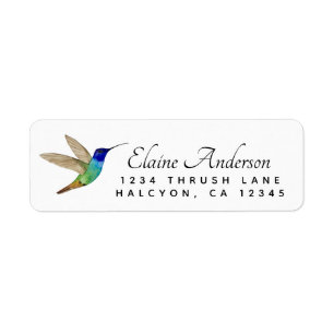 Golden-tailed Sapphire Hummingbird return address