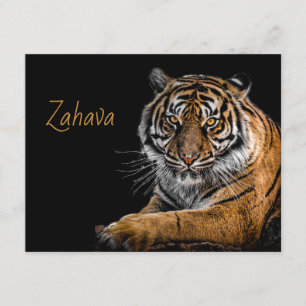 Golden Tiger Enclosure Card