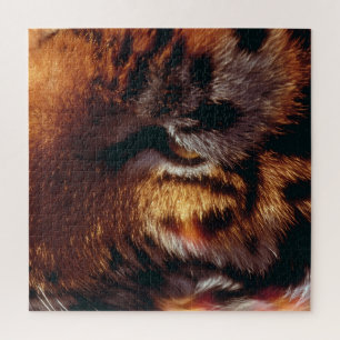 Golden Tiger Eye Close-Up Wildlife  Jigsaw Puzzle