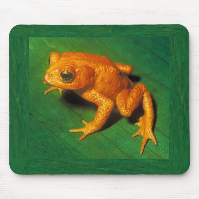 Golden Toad Mousepad (Front)