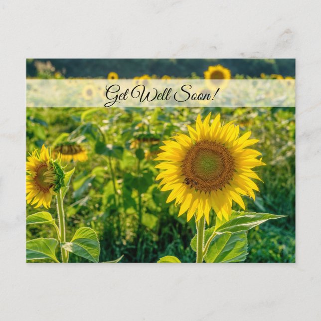 Golden Tournesol Field Se Bien Bientôt Carte Posta (Devant)