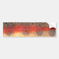 Golden Trout by PatternWear©