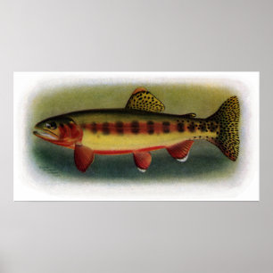 Golden Trout of Volcano Creek Poster