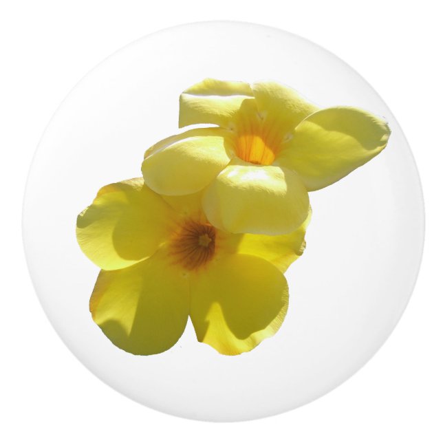 Golden Trumpet Flowers I Ceramic Knob (Front)
