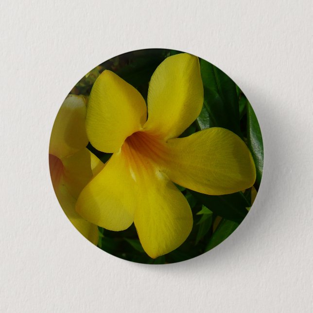 Golden Trumpet Flowers II Tropical 2 Inch Round Button (Front)