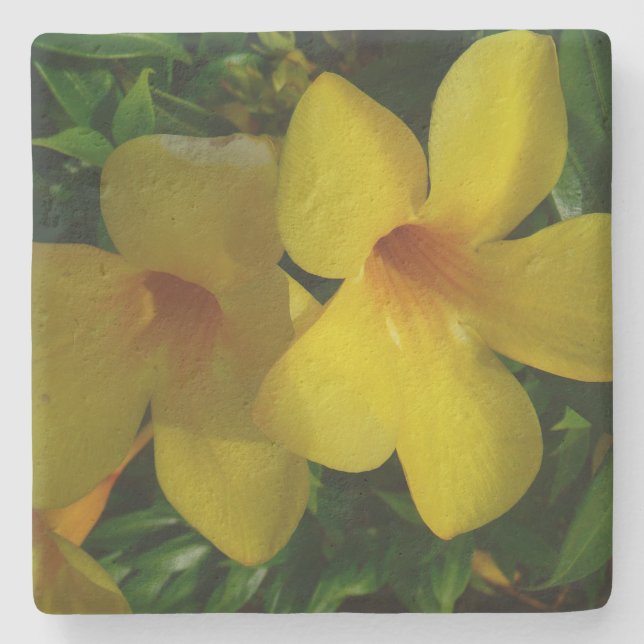 Golden Trumpet Flowers II Tropical Stone Coaster (Front)