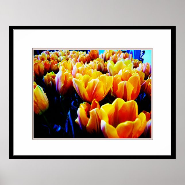 Golden tulip poster (Front)