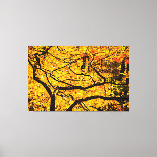Golden Veins Of Autumn Canvas Print