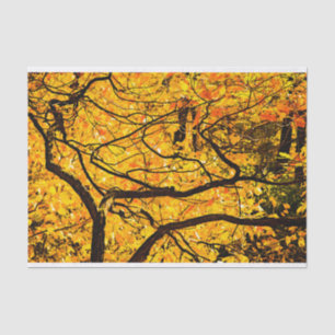 Golden Veins Of Autumn Tissue Paper