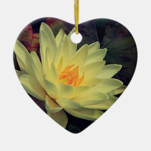 Golden Water Lily 2 Ceramic Ornament (Front)
