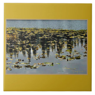 Golden Waters Tile