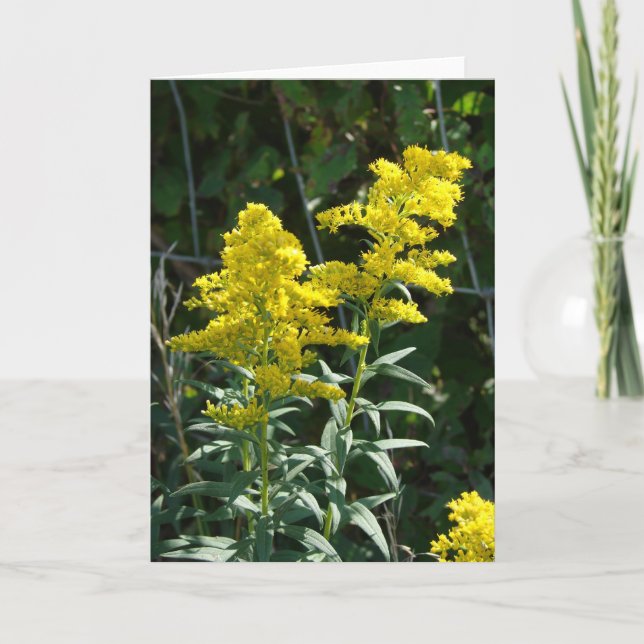 Golden Weeds Card (Front)