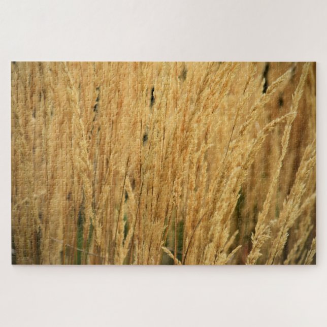 Golden Wheat Fields - 20x30 - 1014 pcs. Jigsaw Puzzle (Horizontal)
