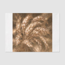 Golden Wheat