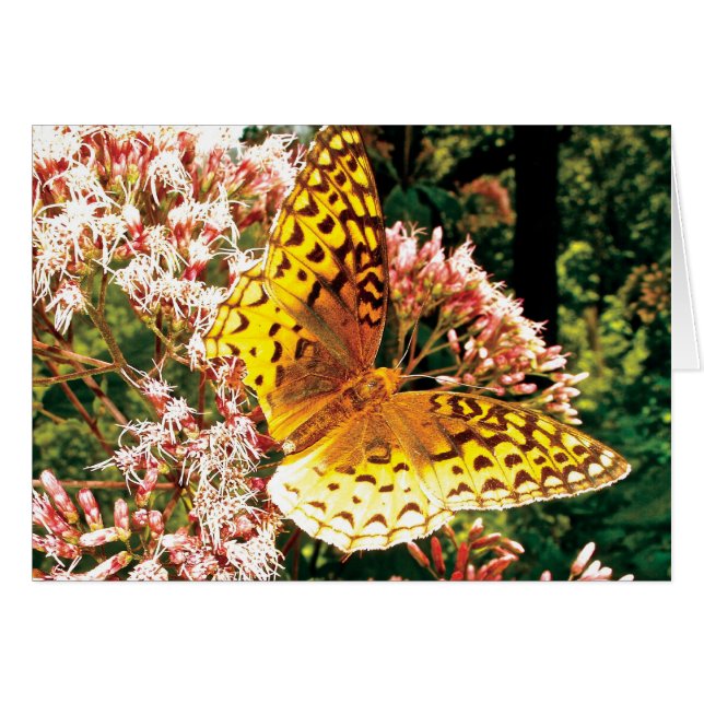 Golden Wings (Front Horizontal)