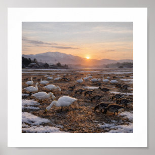 Golden Winter Field with Swans and Geese –  Poster
