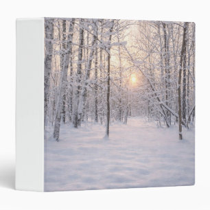 Golden_winter_light Binder