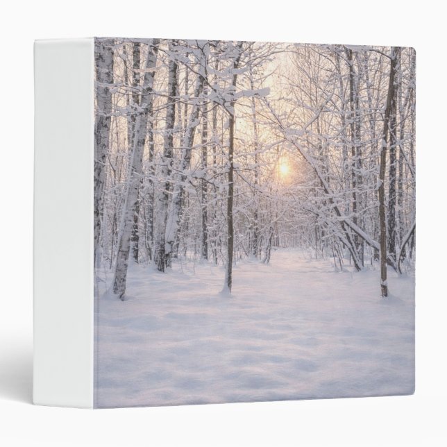 Golden_winter_light Binder (Front/Spine)