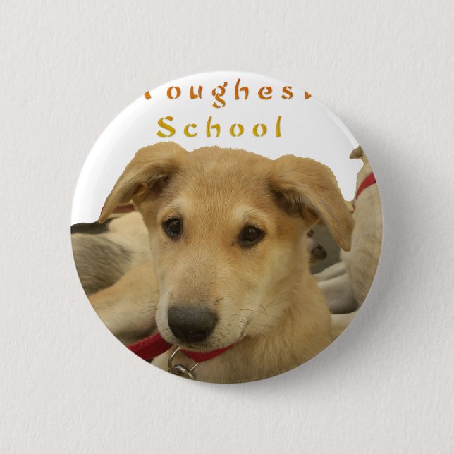 Golden Wisdom: A Dog's-Eye View of Life's School 2 Inch Round Button (Front)