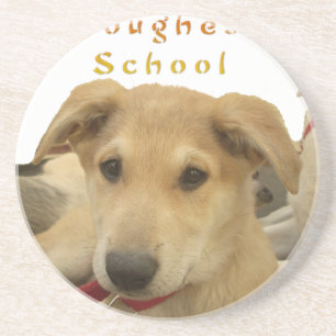 Golden Wisdom: A Dog's-Eye View of Life's School Coaster