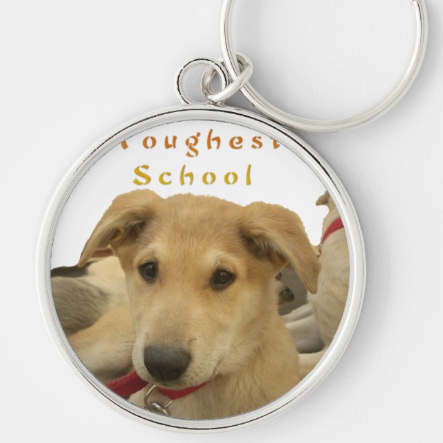 Golden Wisdom: A Dog's-Eye View of Life's School Keychain
