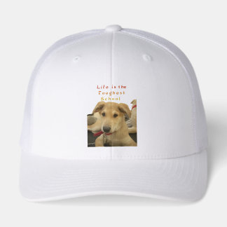 Golden Wisdom: A Dog's-Eye View of Life's School Trucker Hat