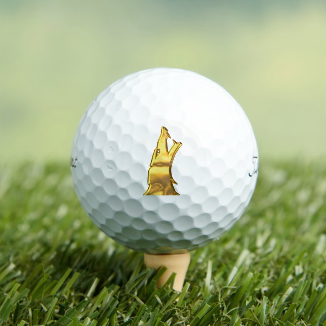 Golden Wolf Head Titleist Pro V1 golf balls 12 pk (Insitu Tee)