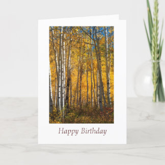 Golden Woods on the Grand Mesa Birthday Card