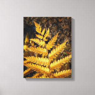 Golden Yellow Fern Fall Leaves Canvas Print