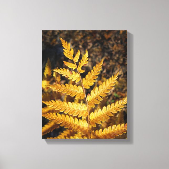 Golden Yellow Fern Fall Leaves Canvas Print (Front)