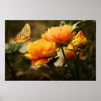 Golden yellow flowers and butterfly