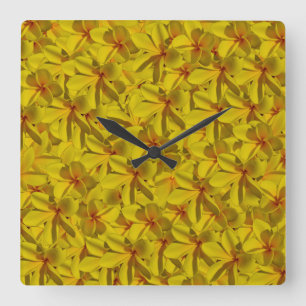 Golden Yellow Frangipani Flowers. Square Wall Clock