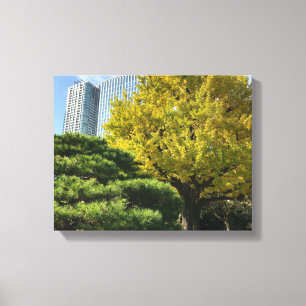 Golden Yellow Ginkgo and Pine Tree Canvas Print
