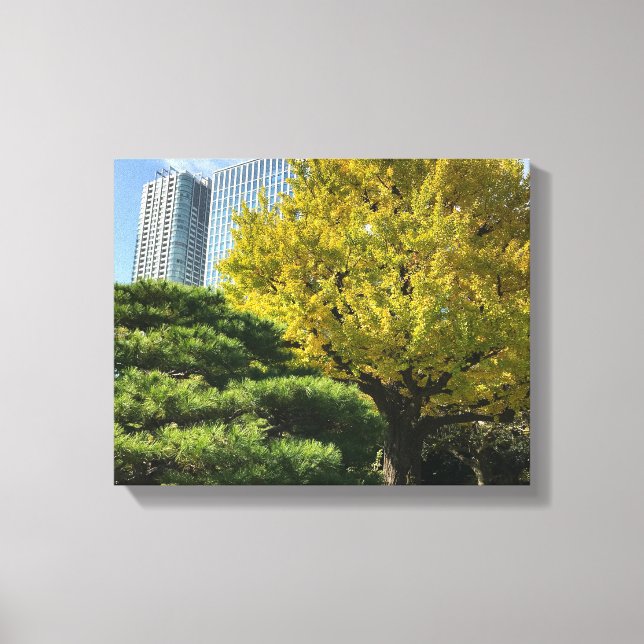 Golden Yellow Ginkgo and Pine Tree Canvas Print (Front)