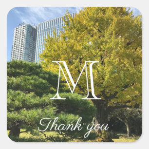 Golden Yellow Ginkgo and Pine Tree Square Sticker
