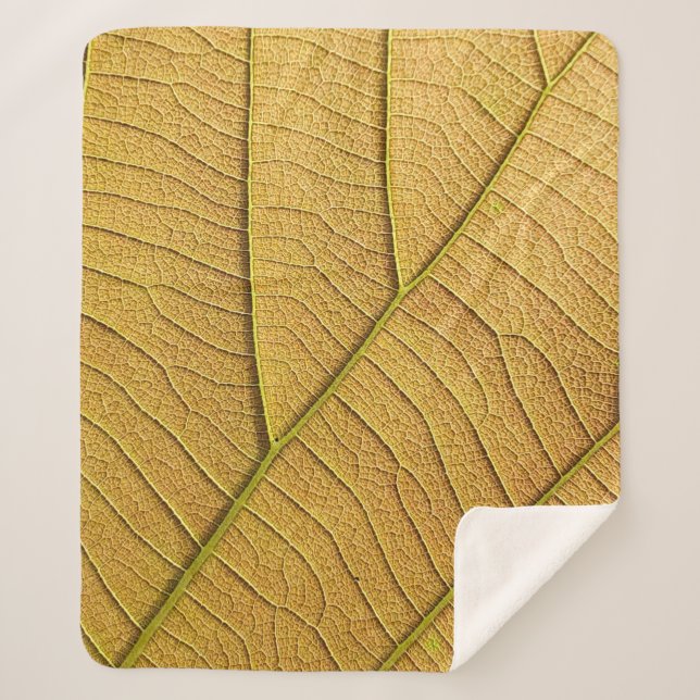 Golden yellow leaf pattern in the morning.  sherpa blanket (Front)
