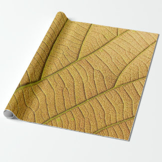 Golden yellow leaf pattern in the morning.  wrapping paper