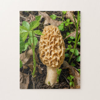 Golden Yellow Morel Mushroom Jigsaw Puzzle