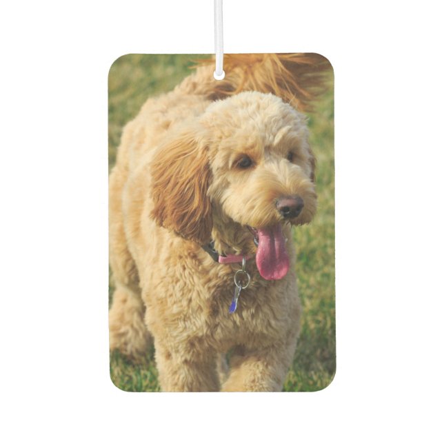 Goldendoodle Air Freshener (Front)